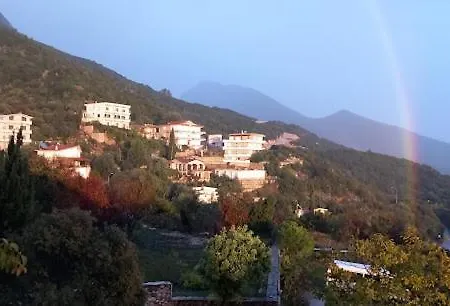 Hotel Hotel Palasa 4*