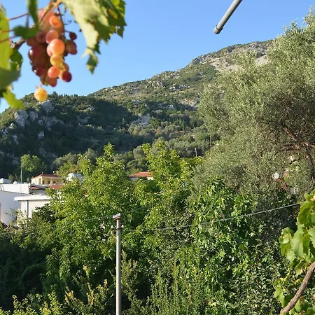 Hotel Hotel Palasa 3*